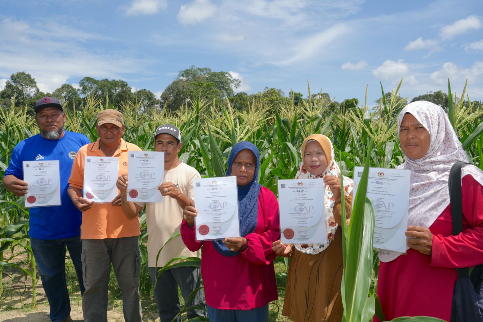 projek-tanaman-jagung-8.jpeg