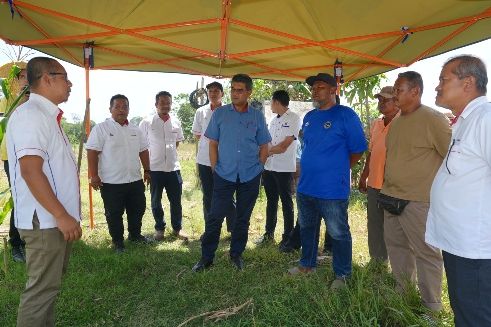 projek-tanaman-jagung-6.jpeg
