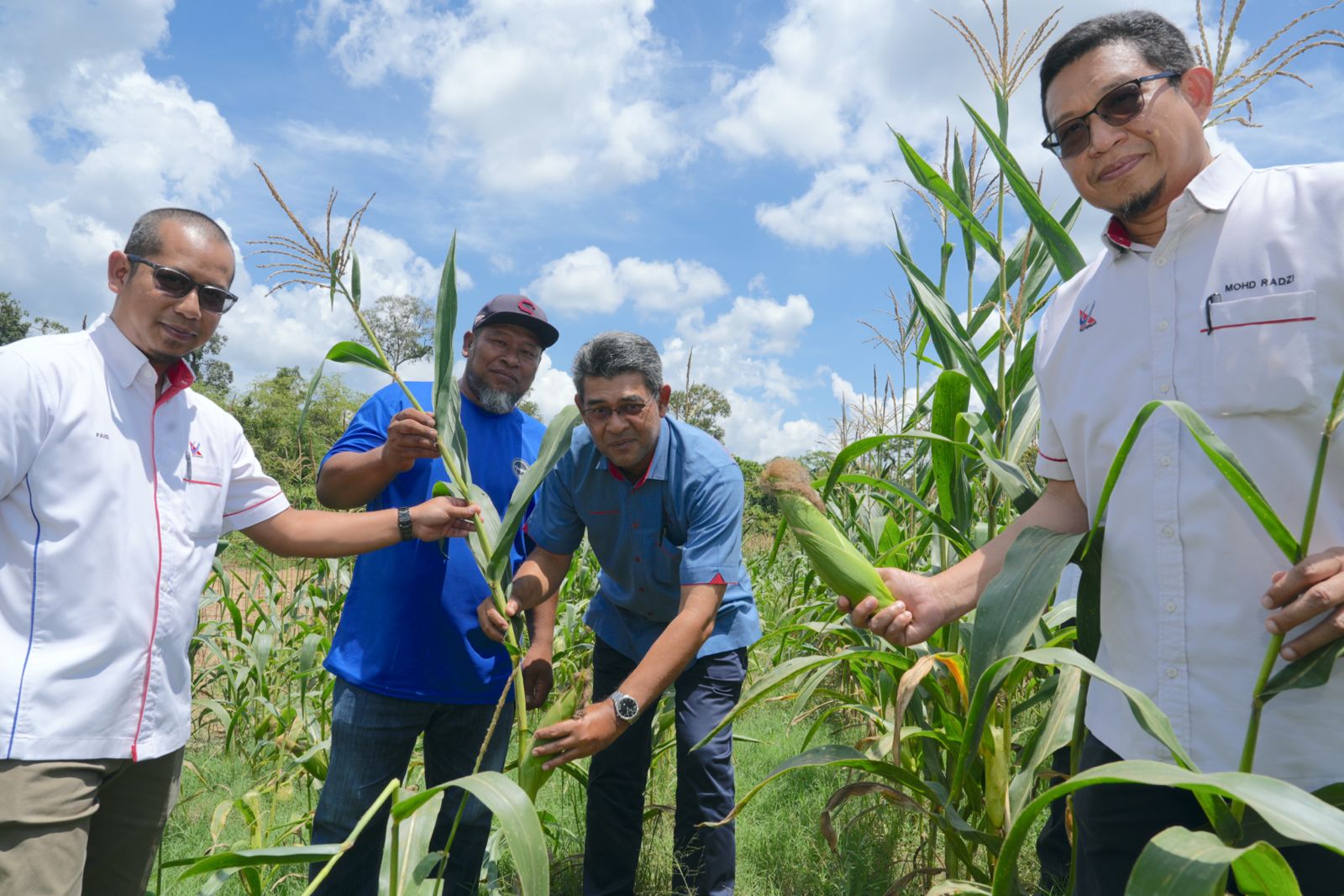 projek-tanaman-jagung-16.jpeg