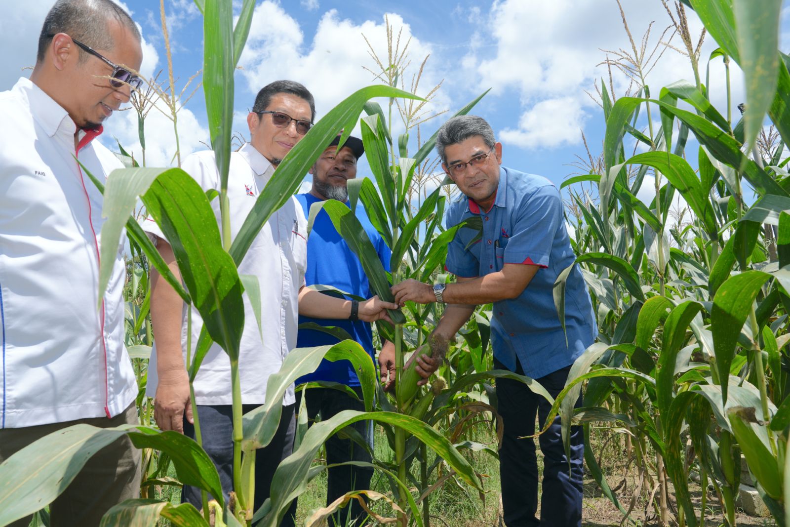 projek-tanaman-jagung-15.jpeg