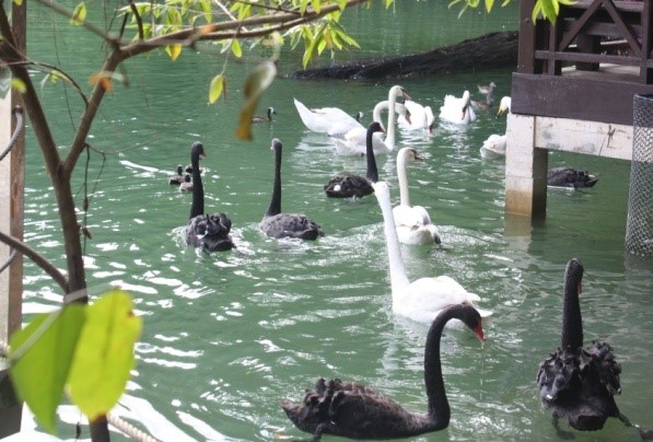 Taman_Burung