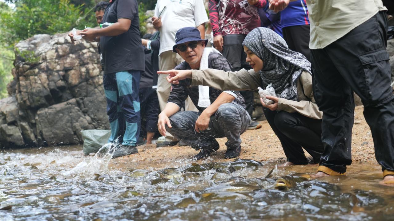 538715979_1212766930880762_4213063907423676157_n