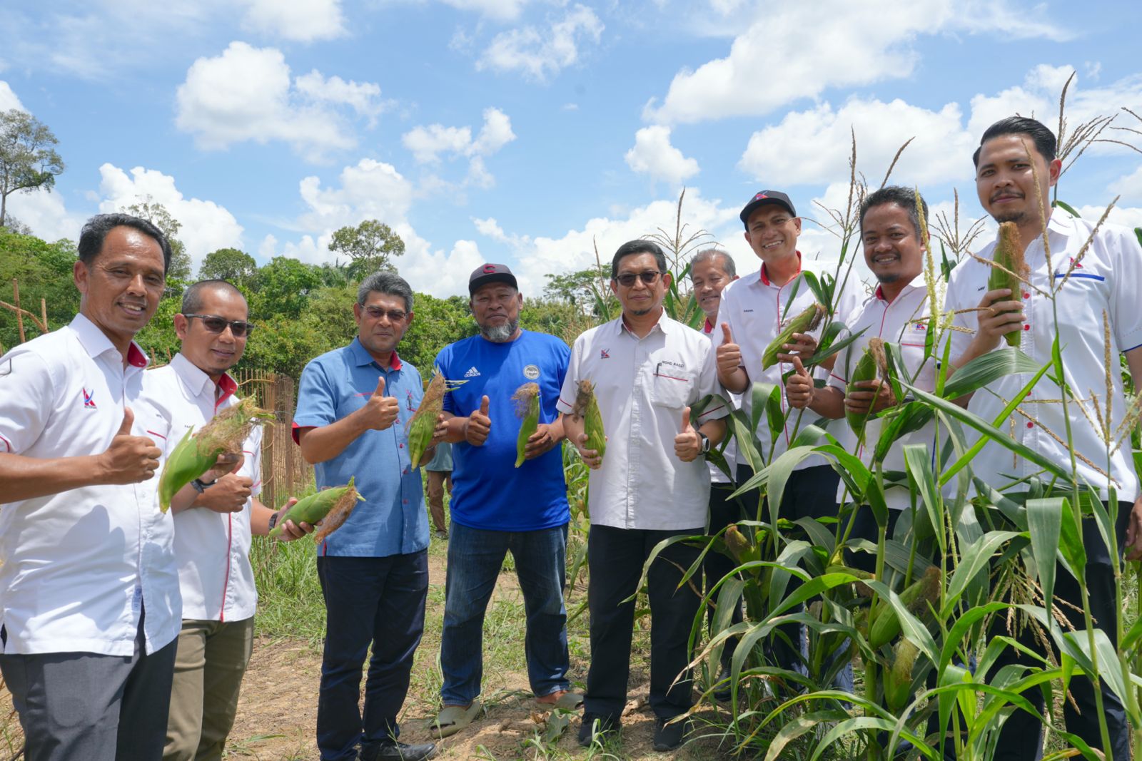 projek-tanaman-jagung-12